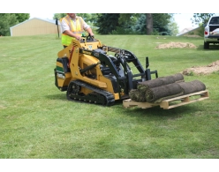 Paladin Pallet Forks
